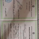 Azərbaycan Dillər universiteti Bakalavr Diplomu ( ingilis dili müəllimliyi)