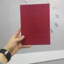 Fərqlənmə diplomu