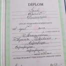 Bakalavr Diplom