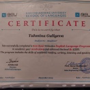 English Language Program