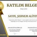 Texnologiya və sosial mediya bağımlılığı təlimi