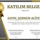 Uşaqlarda davranış problemləri