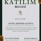 Yeniyetmələrdə ailə münasibətləri təlimi