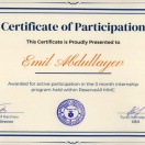 Certificate (Frontend Developer)