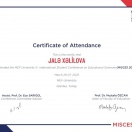 MEF university