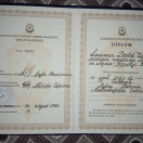 Diplom