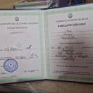Bakalavr Diplomu