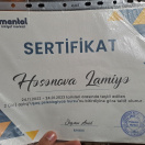 Mental PNİM 2 aylıq uşaq psixologiyası kursu sertifikatı