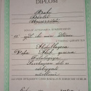 Bakalavr diplomu