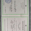 Gəncə Dövlət Univeristeti bakalavr diplomu