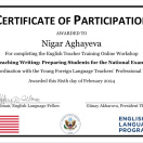 U.S. Embassy. Teaching Writing
