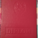 Bakalavr (fərqlənmə)