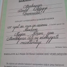 bakalavr təhsilini təsdiq edən sənəd