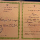 Bakalavr Diplomu