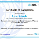 UN. Government Innovation gor social inclusion of people in vulnerable situations