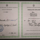 Bakalavr