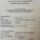 Bakalavr sertifkatı