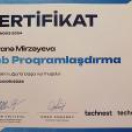 Veb-proqramlaşdırma sertifikatı