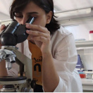 Шабили Нурана