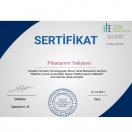 Elektron jurnal təlimi sertifikat