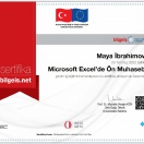 Microsoft Excel Sertifikatı (Türkiyə)