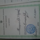 Bakalavr Diplomu