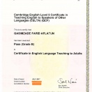 Celta certificate grade B