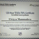 TESOL international certificate for English teachers