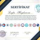 AU məqalə sertifikat