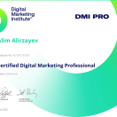 Digital Marketing Professional