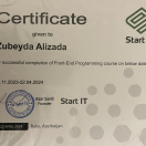 Front-end programming (StartIT)