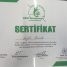 Sinifin idarə edilməsi və Nəzəriyyələrin situasiyada tətbiqi