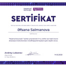 Rəqəmsal bacarıqlar