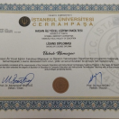 İstanbul Üniversitesi-Cerrahpaşa/ Hasan Ali Yücel Eğitim Fakültesi/ Bilgisayar Ve Öğretim Teknolojileri Öğretmenliği