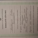 Azərbaycan dillər universitetinin bakalavr diplomu