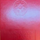 NDU bakalavr diplomu