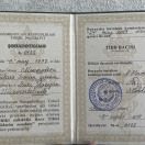 Tibb bacisi sehadetname