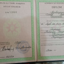 Ali bakalavr diplomu