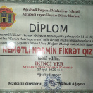 Virtual musiqo müsabiqəsi, 2-ci yer