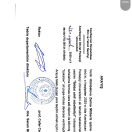 Diplom əvəzi arayış