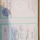 Alman dili tərcümə