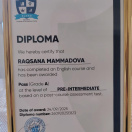 İmtahan sertifkatı