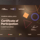 Certificate of Participation