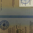 Диплом ( бакалавр )