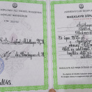 Бакалавр диплом