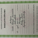 Bakalavr diplumu