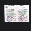 Учитель начальных классов