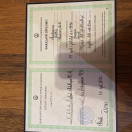 Bakalavr diplomu