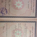 Ali təhsil haqqında