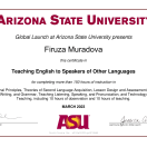 TESOL